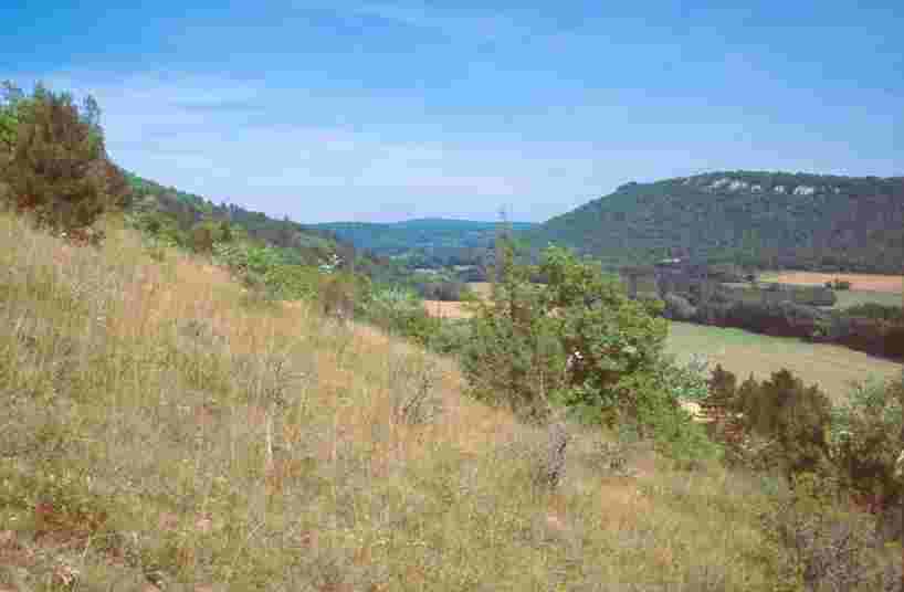 Cette image a un attribut alt vide ; le nom du fichier est envir14pelousebis-2.jpg